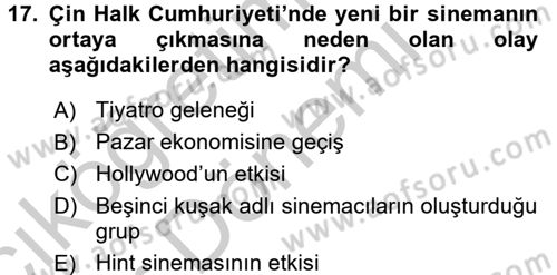 Film ve Video Kültürü Dersi 2016 - 2017 Yılı (Vize) Ara Sınav Soruları 17. Soru