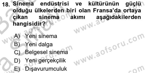 Film ve Video Kültürü Dersi 2016 - 2017 Yılı (Vize) Ara Sınav Soruları 18. Soru