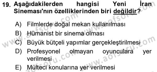 Film ve Video Kültürü Dersi 2016 - 2017 Yılı (Vize) Ara Sınav Soruları 19. Soru