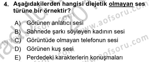 Film ve Video Kültürü Dersi 2016 - 2017 Yılı (Vize) Ara Sınav Soruları 4. Soru