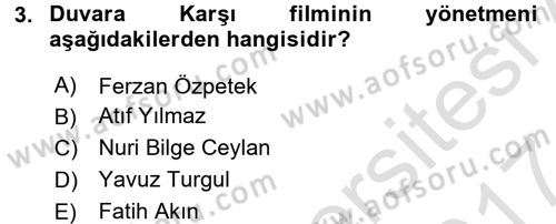 Film ve Video Kültürü Dersi 2016 - 2017 Yılı (Final) Dönem Sonu Sınav Soruları 3. Soru