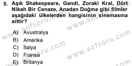 Film ve Video Kültürü Dersi 2016 - 2017 Yılı (Final) Dönem Sonu Sınav Soruları 5. Soru