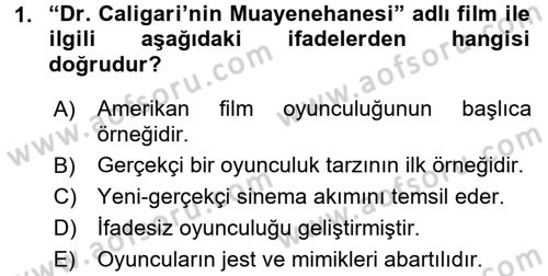 Film ve Video Kültürü Dersi 2017 - 2018 Yılı 3 Ders Sınav Soruları 1. Soru