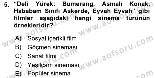 Film ve Video Kültürü Dersi 2017 - 2018 Yılı 3 Ders Sınav Soruları 5. Soru