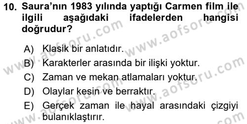 Film ve Video Kültürü Dersi 2017 - 2018 Yılı (Vize) Ara Sınav Soruları 10. Soru
