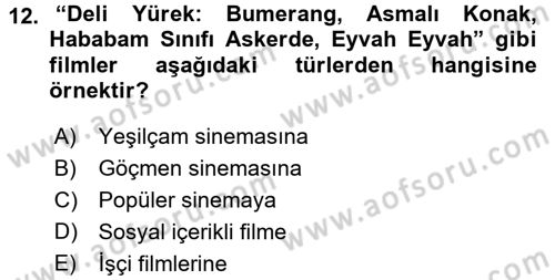 Film ve Video Kültürü Dersi 2017 - 2018 Yılı (Vize) Ara Sınav Soruları 12. Soru