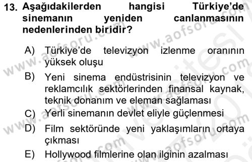 Film ve Video Kültürü Dersi 2017 - 2018 Yılı (Vize) Ara Sınav Soruları 13. Soru