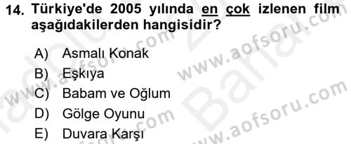 Film ve Video Kültürü Dersi 2017 - 2018 Yılı (Vize) Ara Sınav Soruları 14. Soru