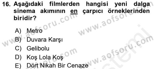 Film ve Video Kültürü Dersi 2017 - 2018 Yılı (Vize) Ara Sınav Soruları 16. Soru