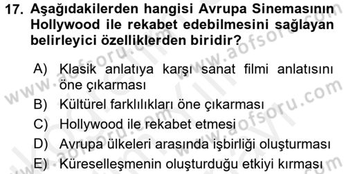 Film ve Video Kültürü Dersi 2017 - 2018 Yılı (Vize) Ara Sınav Soruları 17. Soru