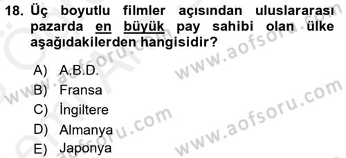 Film ve Video Kültürü Dersi 2017 - 2018 Yılı (Vize) Ara Sınav Soruları 18. Soru