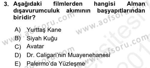Film ve Video Kültürü Dersi 2017 - 2018 Yılı (Vize) Ara Sınav Soruları 3. Soru
