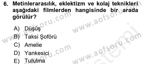 Film ve Video Kültürü Dersi 2017 - 2018 Yılı (Vize) Ara Sınav Soruları 6. Soru