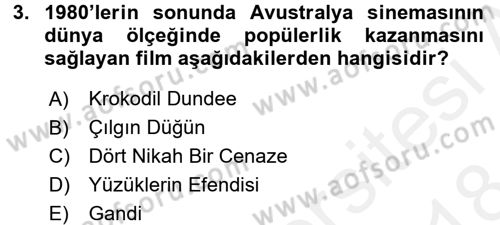 Film ve Video Kültürü Dersi 2017 - 2018 Yılı (Final) Dönem Sonu Sınav Soruları 3. Soru