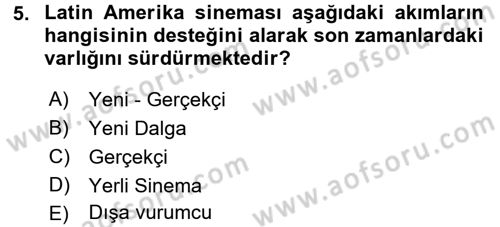 Film ve Video Kültürü Dersi 2017 - 2018 Yılı (Final) Dönem Sonu Sınav Soruları 5. Soru