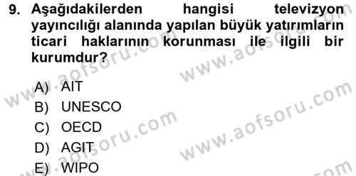 Film ve Video Kültürü Dersi 2017 - 2018 Yılı (Final) Dönem Sonu Sınav Soruları 9. Soru