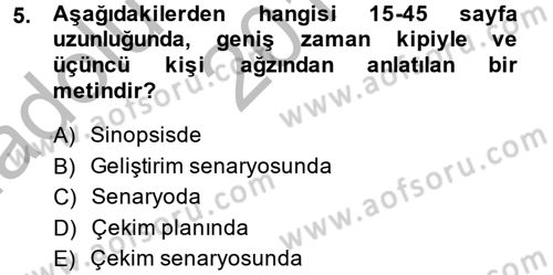 Film ve Video Yapımı Dersi 2013 - 2014 Yılı (Vize) Ara Sınav Soruları 5. Soru