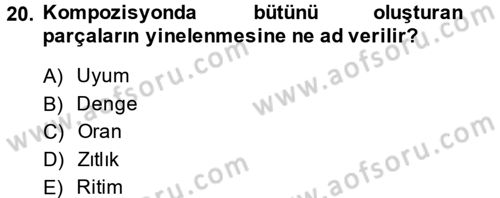 Film ve Video Yapımı Dersi 2013 - 2014 Yılı (Final) Dönem Sonu Sınav Soruları 20. Soru