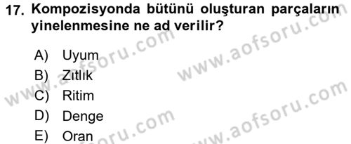 Film ve Video Yapımı Dersi 2015 - 2016 Yılı Tek Ders Sınav Soruları 17. Soru