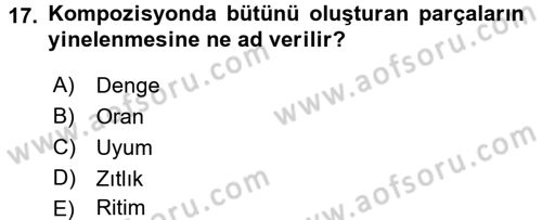 Film ve Video Yapımı Dersi 2016 - 2017 Yılı 3 Ders Sınav Soruları 17. Soru