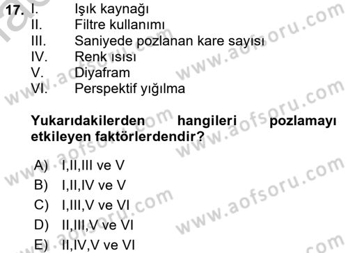 Film ve Video Yapımı Dersi 2016 - 2017 Yılı (Vize) Ara Sınav Soruları 17. Soru
