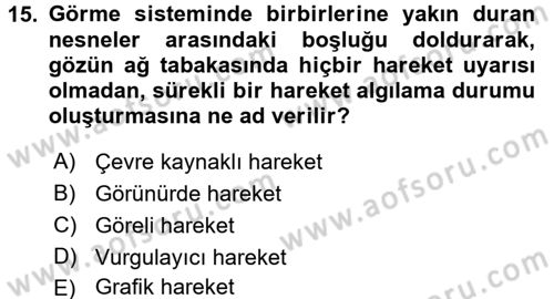 Film ve Video Yapımı Dersi 2016 - 2017 Yılı (Final) Dönem Sonu Sınav Soruları 15. Soru