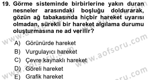Film ve Video Yapımı Dersi 2017 - 2018 Yılı 3 Ders Sınav Soruları 19. Soru