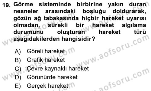 Film ve Video Yapımı Dersi 2020 - 2021 Yılı Yaz Okulu Sınav Soruları 19. Soru