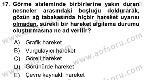 Film ve Video Yapımı Dersi 2021 - 2022 Yılı (Final) Dönem Sonu Sınav Soruları 17. Soru