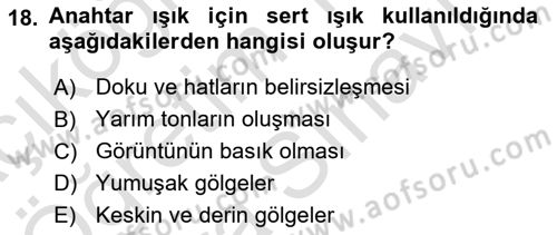 Film ve Video Yapımı Dersi 2024 - 2025 Yılı (Vize) Ara Sınav Soruları 18. Soru