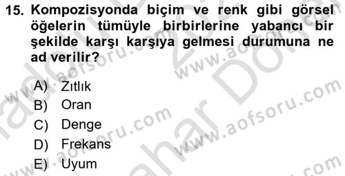 Film ve Video Yapımı Dersi 2024 - 2025 Yılı (Final) Dönem Sonu Sınav Soruları 15. Soru