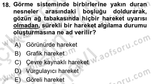 Film ve Video Yapımı Dersi 2024 - 2025 Yılı Yaz Okulu Sınav Soruları 18. Soru
