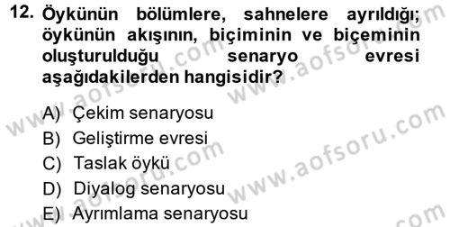 Televizyon Program Yapımı Dersi 2013 - 2014 Yılı (Final) Dönem Sonu Sınav Soruları 12. Soru