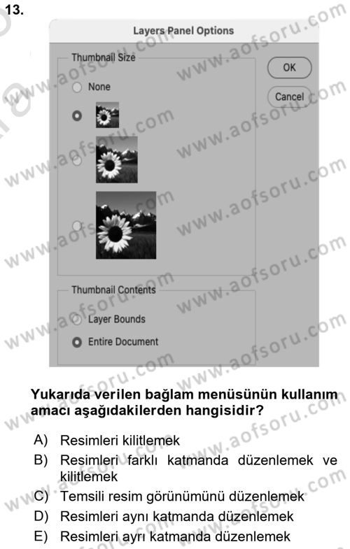 Sayısal Fotoğraf İşleme Teknikleri Dersi 2024 - 2025 Yılı (Vize) Ara Sınav Soruları 13. Soru