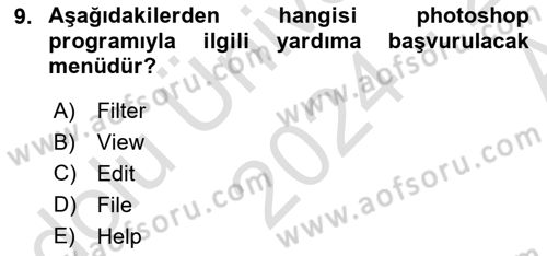 Sayısal Fotoğraf İşleme Teknikleri Dersi 2024 - 2025 Yılı (Vize) Ara Sınav Soruları 9. Soru