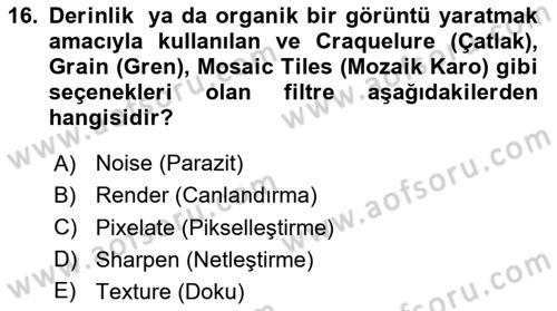 Sayısal Fotoğraf İşleme Teknikleri Dersi 2024 - 2025 Yılı (Final) Dönem Sonu Sınav Soruları 16. Soru