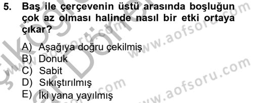 Videonun Kullanım Alanları Dersi 2012 - 2013 Yılı (Vize) Ara Sınav Soruları 5. Soru