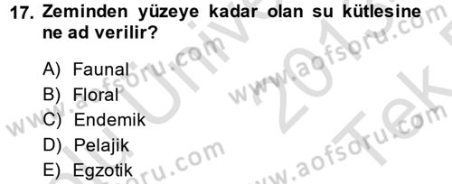 Videonun Kullanım Alanları Dersi 2013 - 2014 Yılı Tek Ders Sınav Soruları 17. Soru