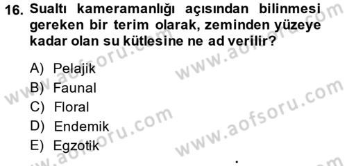 Videonun Kullanım Alanları Dersi 2014 - 2015 Yılı Tek Ders Sınav Soruları 16. Soru