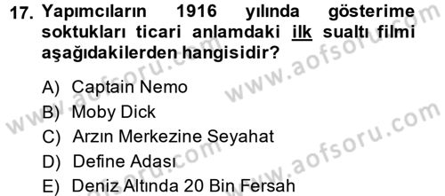 Videonun Kullanım Alanları Dersi 2014 - 2015 Yılı Tek Ders Sınav Soruları 17. Soru