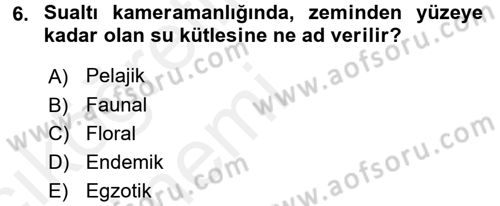 Videonun Kullanım Alanları Dersi 2015 - 2016 Yılı Tek Ders Sınav Soruları 6. Soru