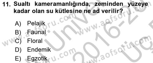 Videonun Kullanım Alanları Dersi 2016 - 2017 Yılı 3 Ders Sınav Soruları 11. Soru