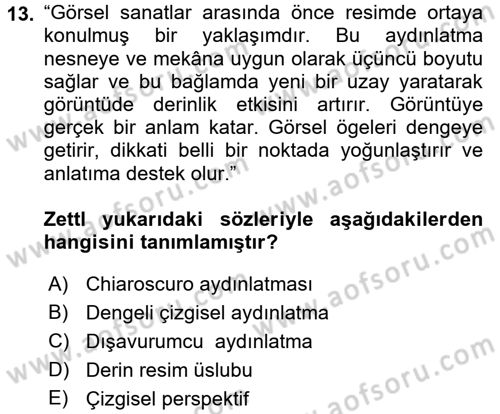 Videonun Kullanım Alanları Dersi 2016 - 2017 Yılı (Vize) Ara Sınav Soruları 13. Soru