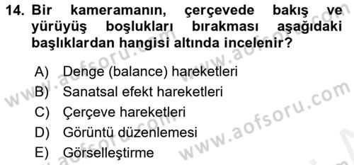 Videonun Kullanım Alanları Dersi 2017 - 2018 Yılı (Vize) Ara Sınav Soruları 14. Soru