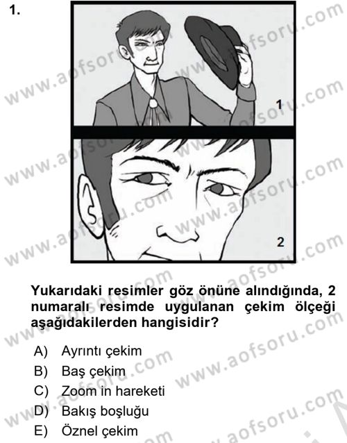 Videonun Kullanım Alanları Dersi 2022 - 2023 Yılı Yaz Okulu Sınav Soruları 1. Soru