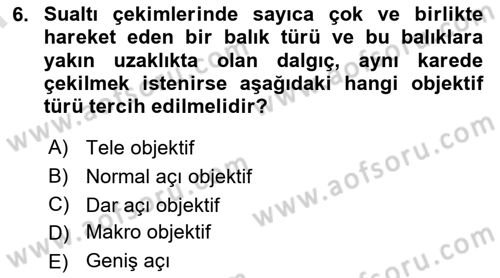 Videonun Kullanım Alanları Dersi Dönem Sonu Sınavı Deneme Sınav Soruları 6. Soru