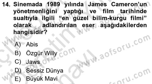 Videonun Kullanım Alanları Dersi 2023 - 2024 Yılı Yaz Okulu Sınav Soruları 14. Soru