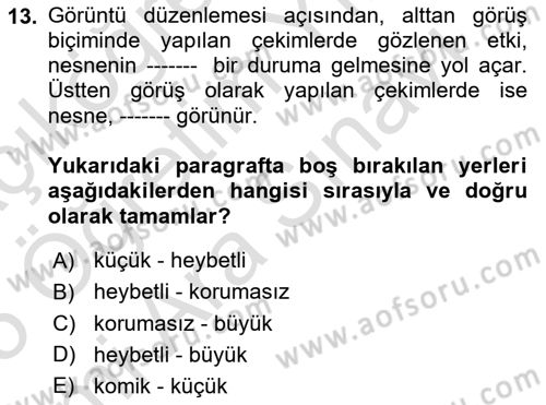 Videonun Kullanım Alanları Dersi 2024 - 2025 Yılı (Vize) Ara Sınav Soruları 13. Soru