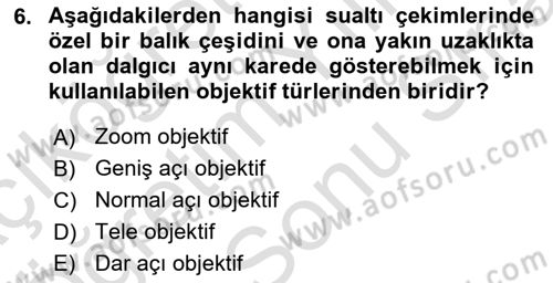 Videonun Kullanım Alanları Dersi 2024 - 2025 Yılı (Final) Dönem Sonu Sınav Soruları 6. Soru