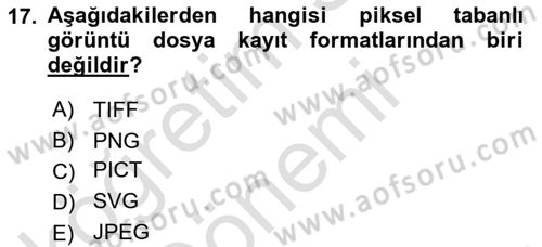 Sayısal Fotoğraf Baskı Teknikleri Dersi Ara Sınavı Deneme Sınav Soruları 17. Soru